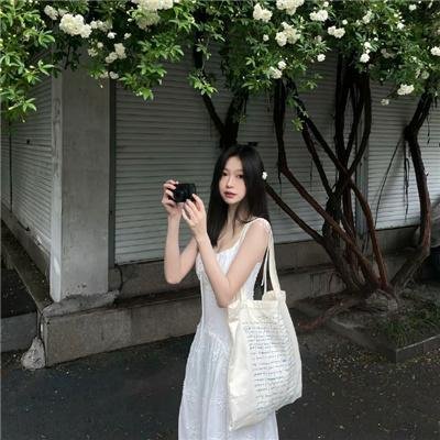 猫和老鼠在纽约